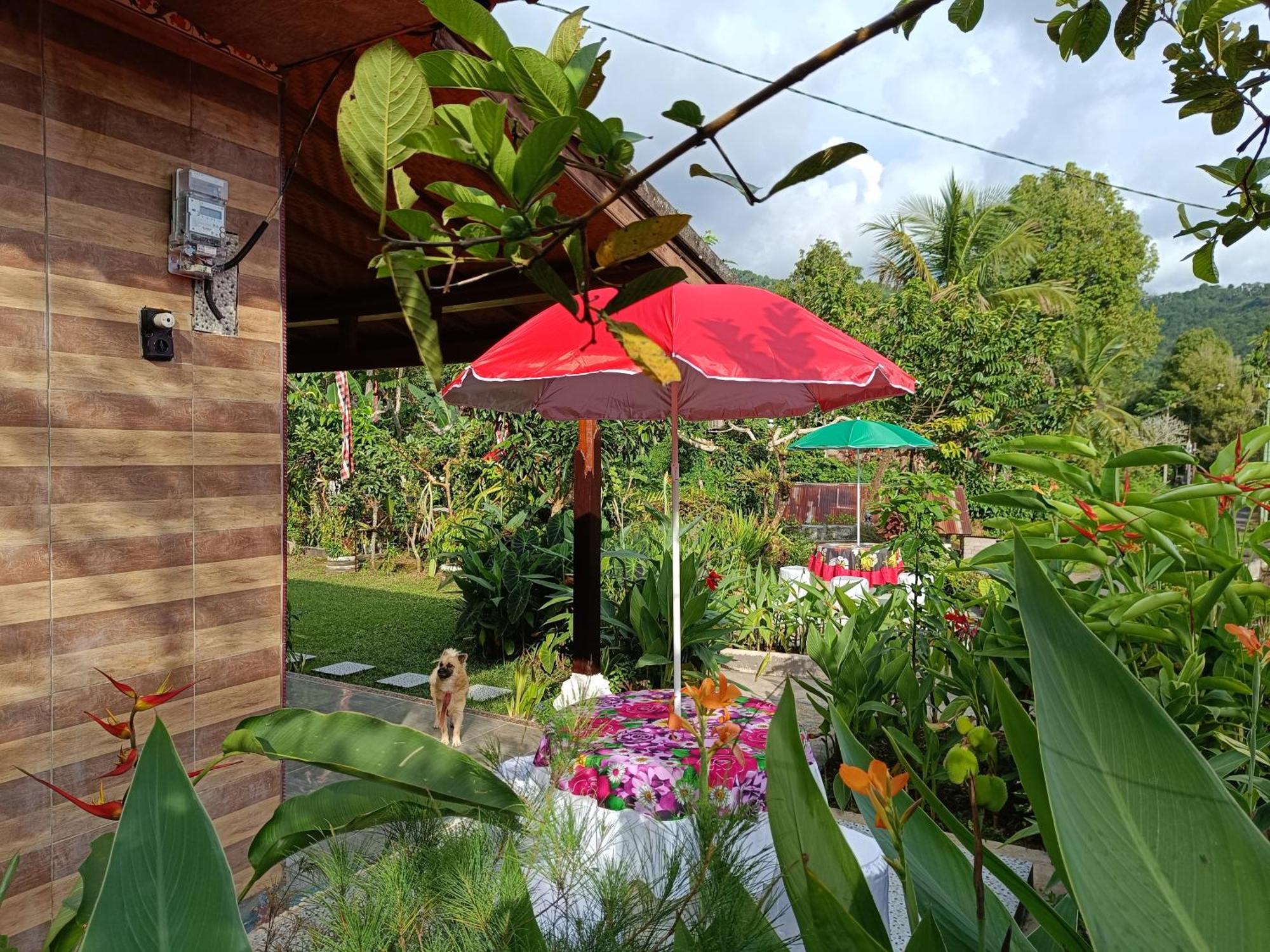 شقة Gosela Bali موندوغْ المظهر الخارجي الصورة